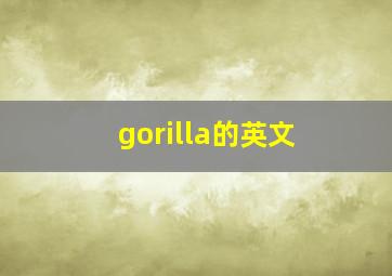 gorilla的英文