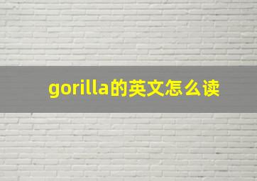 gorilla的英文怎么读