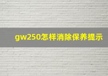 gw250怎样消除保养提示