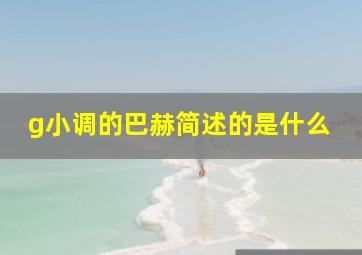 g小调的巴赫简述的是什么