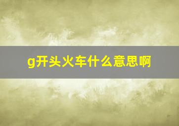 g开头火车什么意思啊