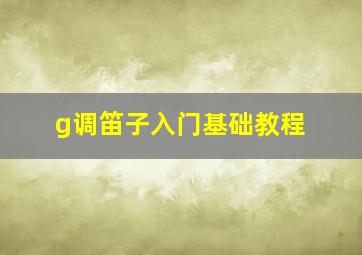 g调笛子入门基础教程