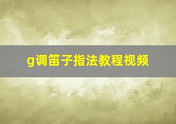 g调笛子指法教程视频