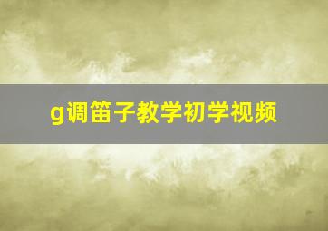 g调笛子教学初学视频