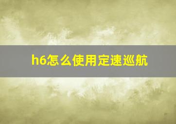 h6怎么使用定速巡航