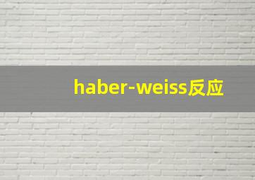 haber-weiss反应