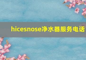 hicesnose净水器服务电话