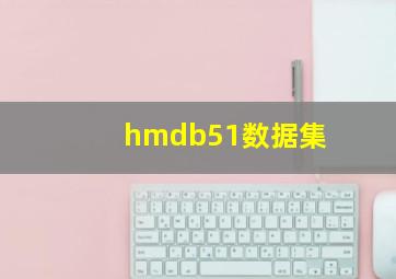 hmdb51数据集