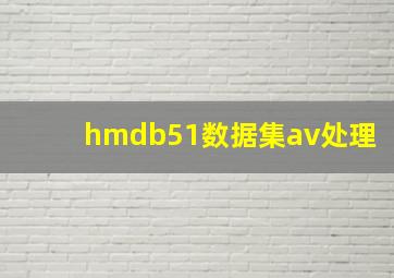 hmdb51数据集av处理