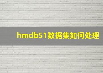 hmdb51数据集如何处理