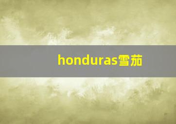 honduras雪茄