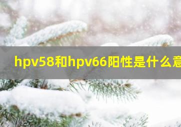 hpv58和hpv66阳性是什么意思