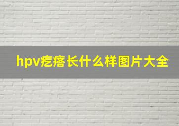 hpv疙瘩长什么样图片大全