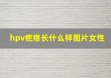 hpv疙瘩长什么样图片女性