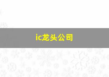 ic龙头公司