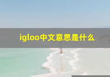 igloo中文意思是什么