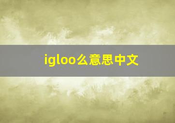 igloo么意思中文