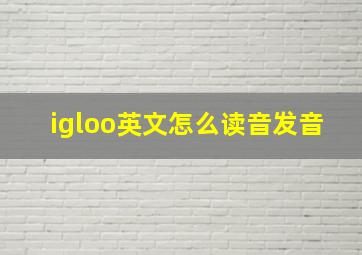 igloo英文怎么读音发音