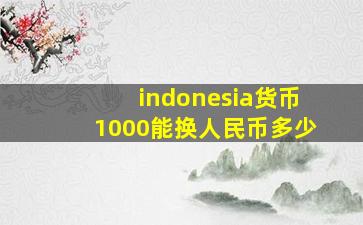 indonesia货币1000能换人民币多少