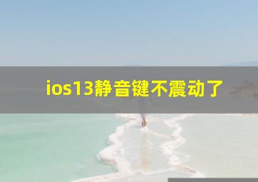 ios13静音键不震动了