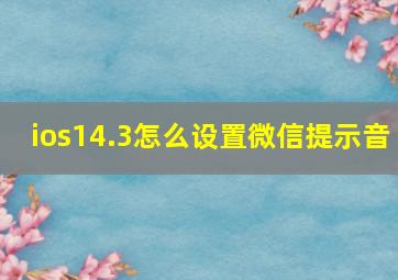 ios14.3怎么设置微信提示音