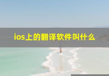 ios上的翻译软件叫什么