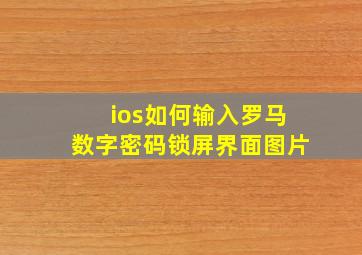 ios如何输入罗马数字密码锁屏界面图片