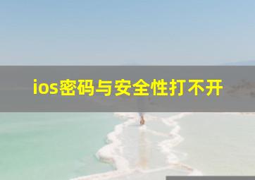 ios密码与安全性打不开