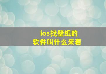 ios找壁纸的软件叫什么来着