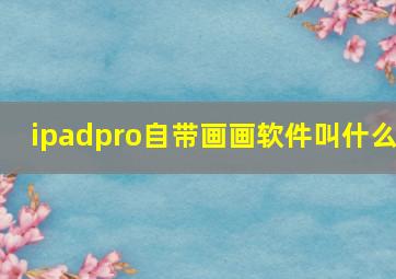 ipadpro自带画画软件叫什么