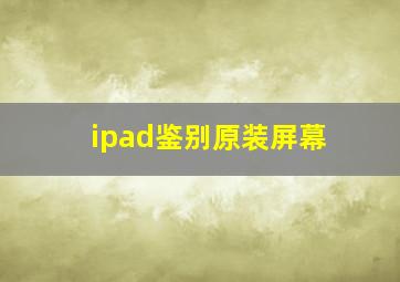 ipad鉴别原装屏幕