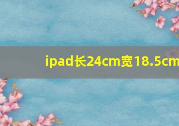 ipad长24cm宽18.5cm