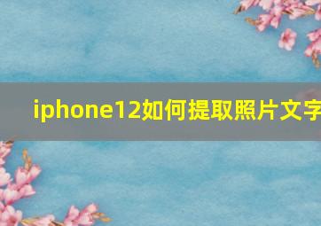 iphone12如何提取照片文字