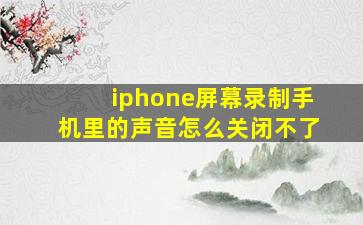 iphone屏幕录制手机里的声音怎么关闭不了