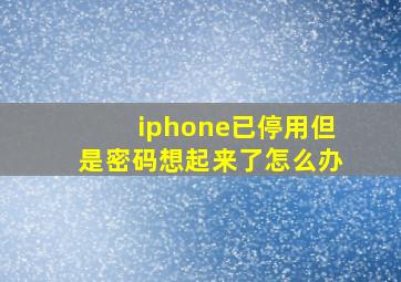 iphone已停用但是密码想起来了怎么办