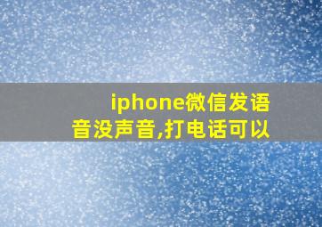 iphone微信发语音没声音,打电话可以