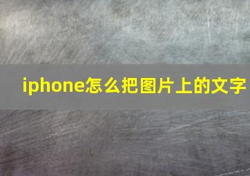 iphone怎么把图片上的文字