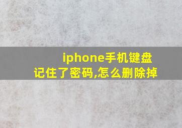 iphone手机键盘记住了密码,怎么删除掉