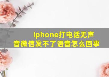 iphone打电话无声音微信发不了语音怎么回事