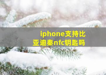 iphone支持比亚迪秦nfc钥匙吗