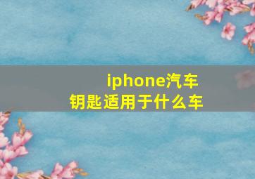 iphone汽车钥匙适用于什么车