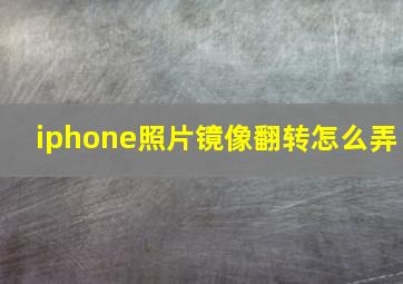 iphone照片镜像翻转怎么弄