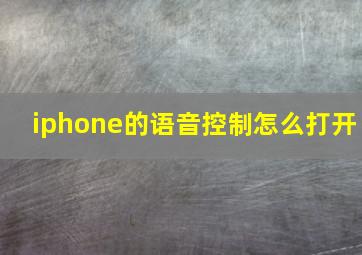 iphone的语音控制怎么打开