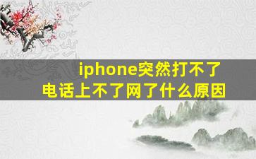 iphone突然打不了电话上不了网了什么原因