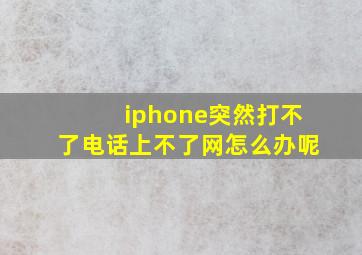 iphone突然打不了电话上不了网怎么办呢