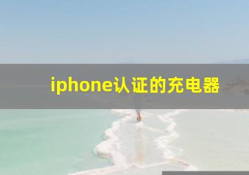 iphone认证的充电器