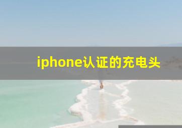 iphone认证的充电头