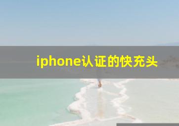 iphone认证的快充头