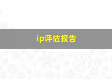 ip评估报告