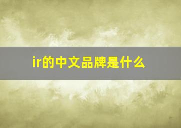 ir的中文品牌是什么